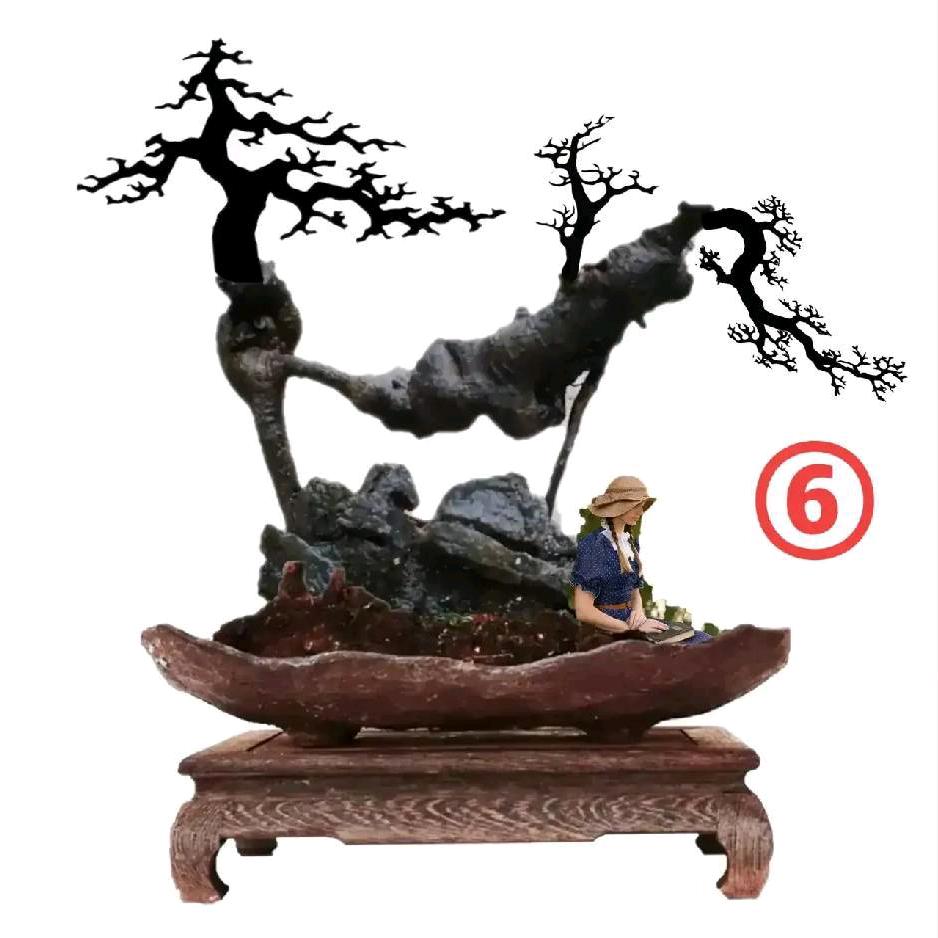 朱师专业修山