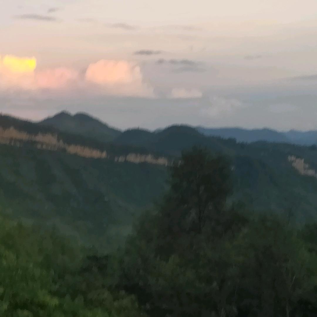 艳艳（1）