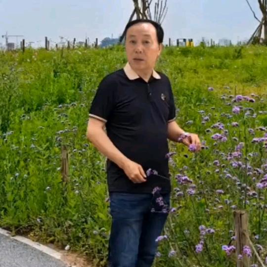子超(黑色)