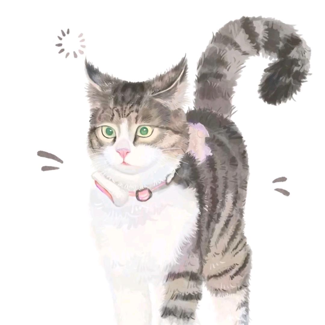 重启人生