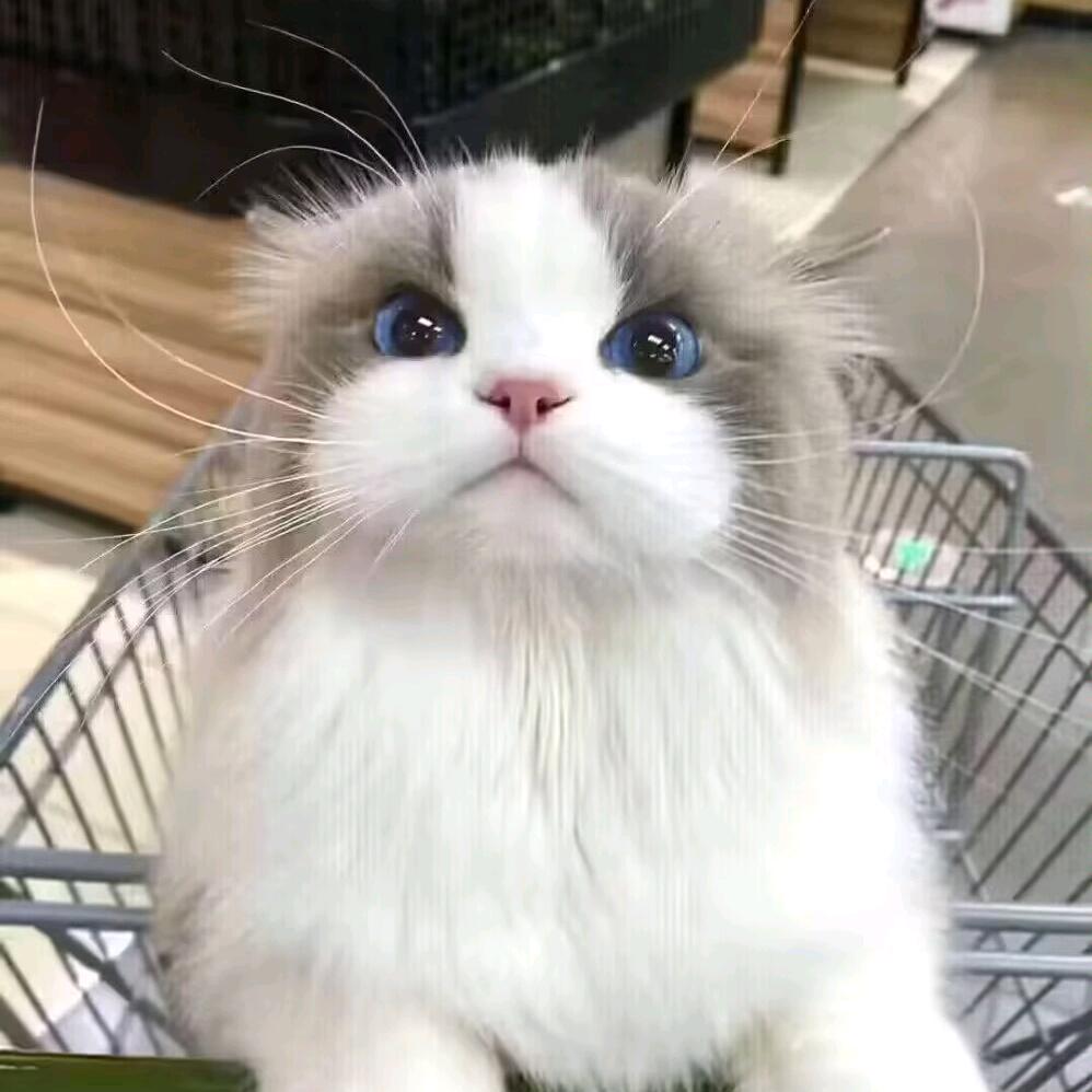 人生游戏