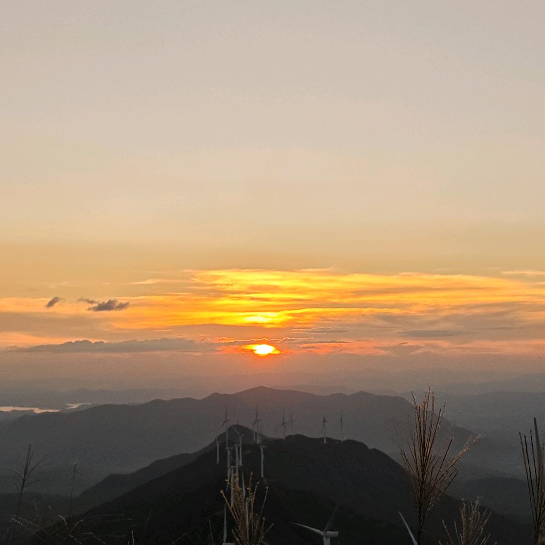 小杨