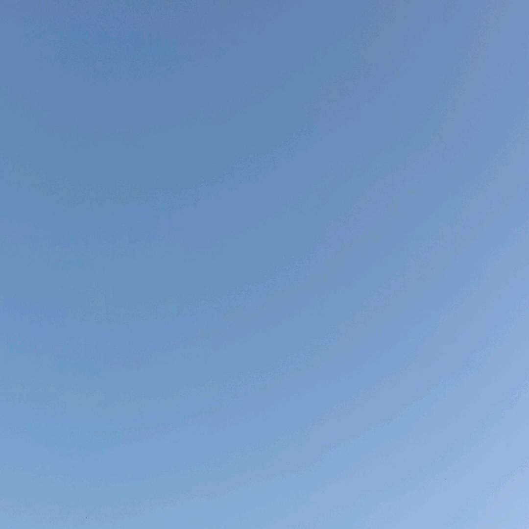 老黄瓜刷绿漆