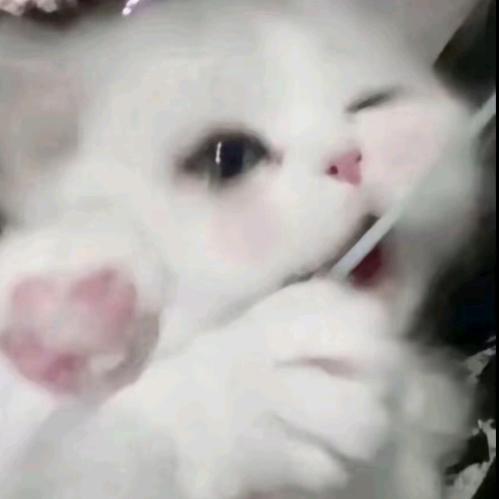 慢慢喝