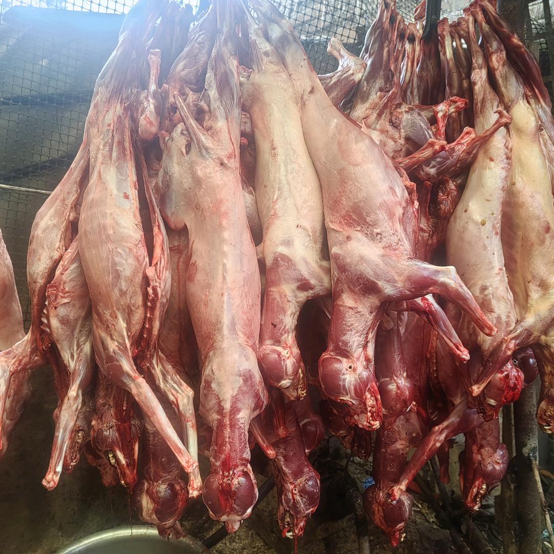 沛县香肉(狗肉)