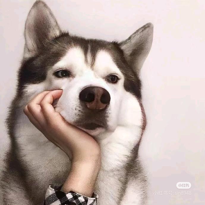 咸🐟粘锅🤨