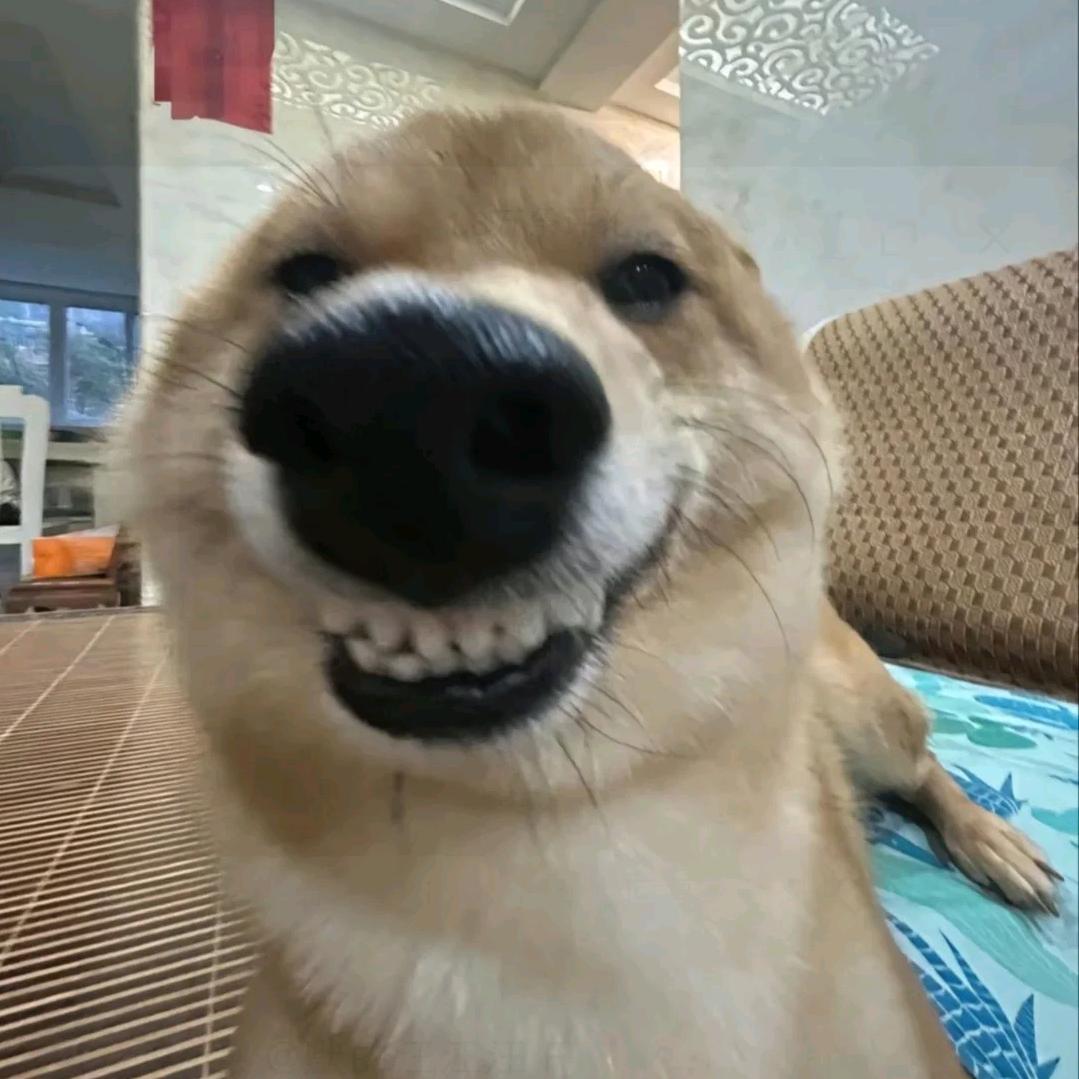 一个好人