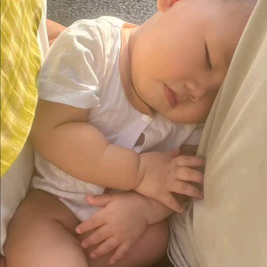 小陈哥