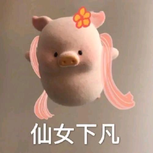 梵莎秀秀