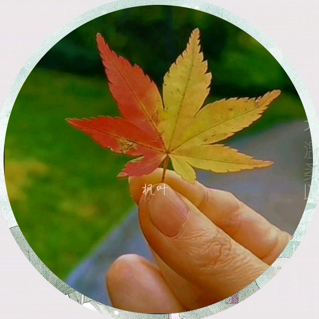 @楓🍁叶