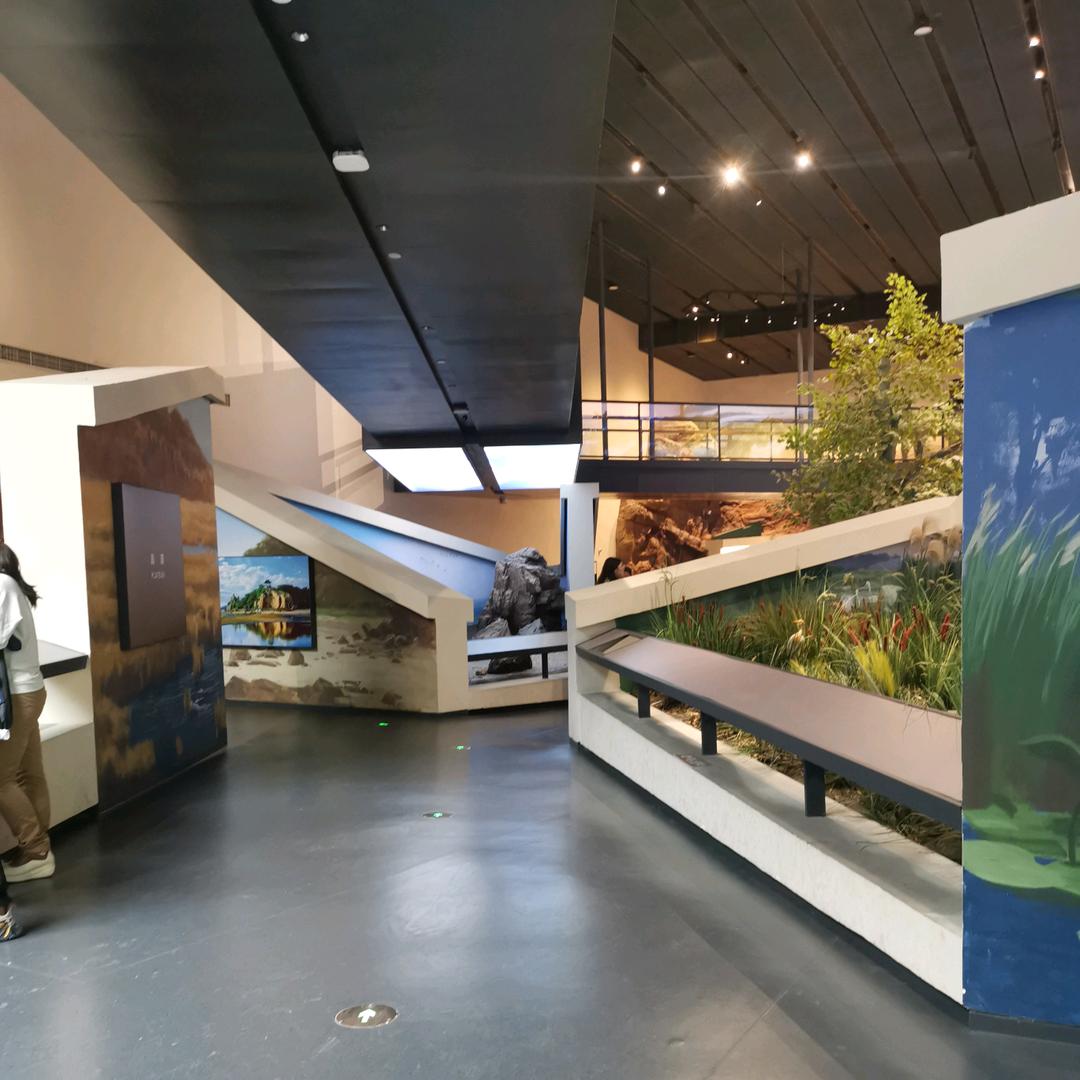 梅花香自苦寒来