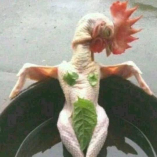 摇摆哥   桂B