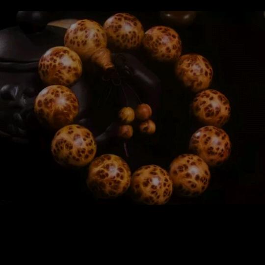 @笑看人生Ծ‸Ծ