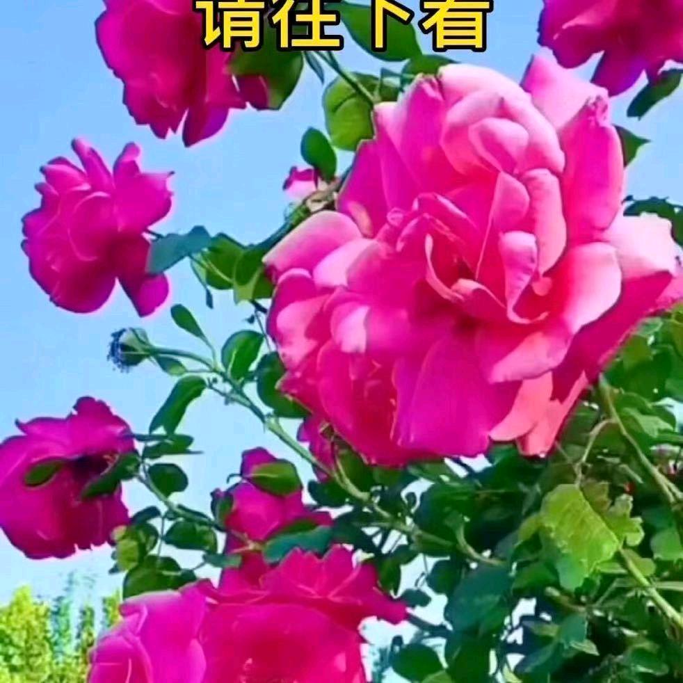文文🧞‍♀️🧞‍♂️