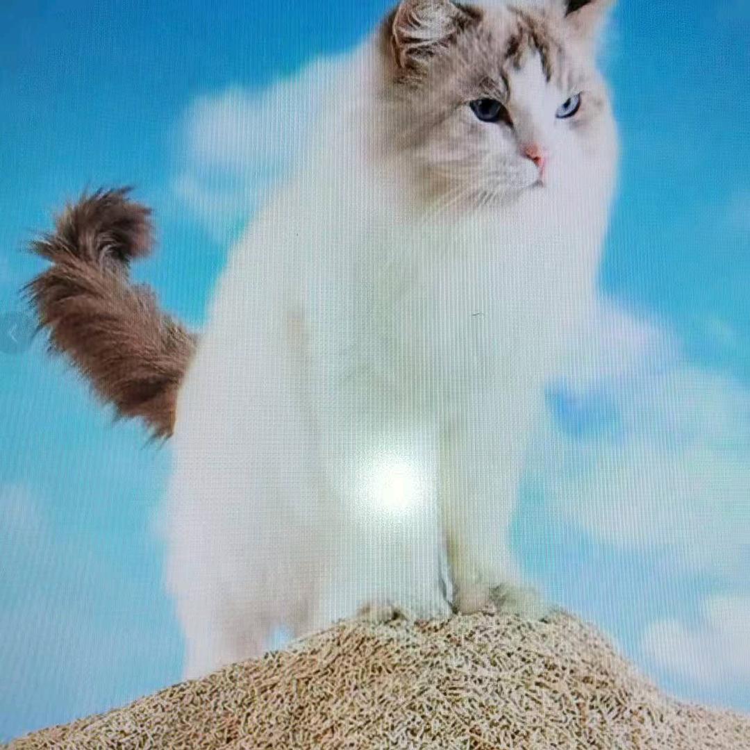 香香猫咪宠物用品店