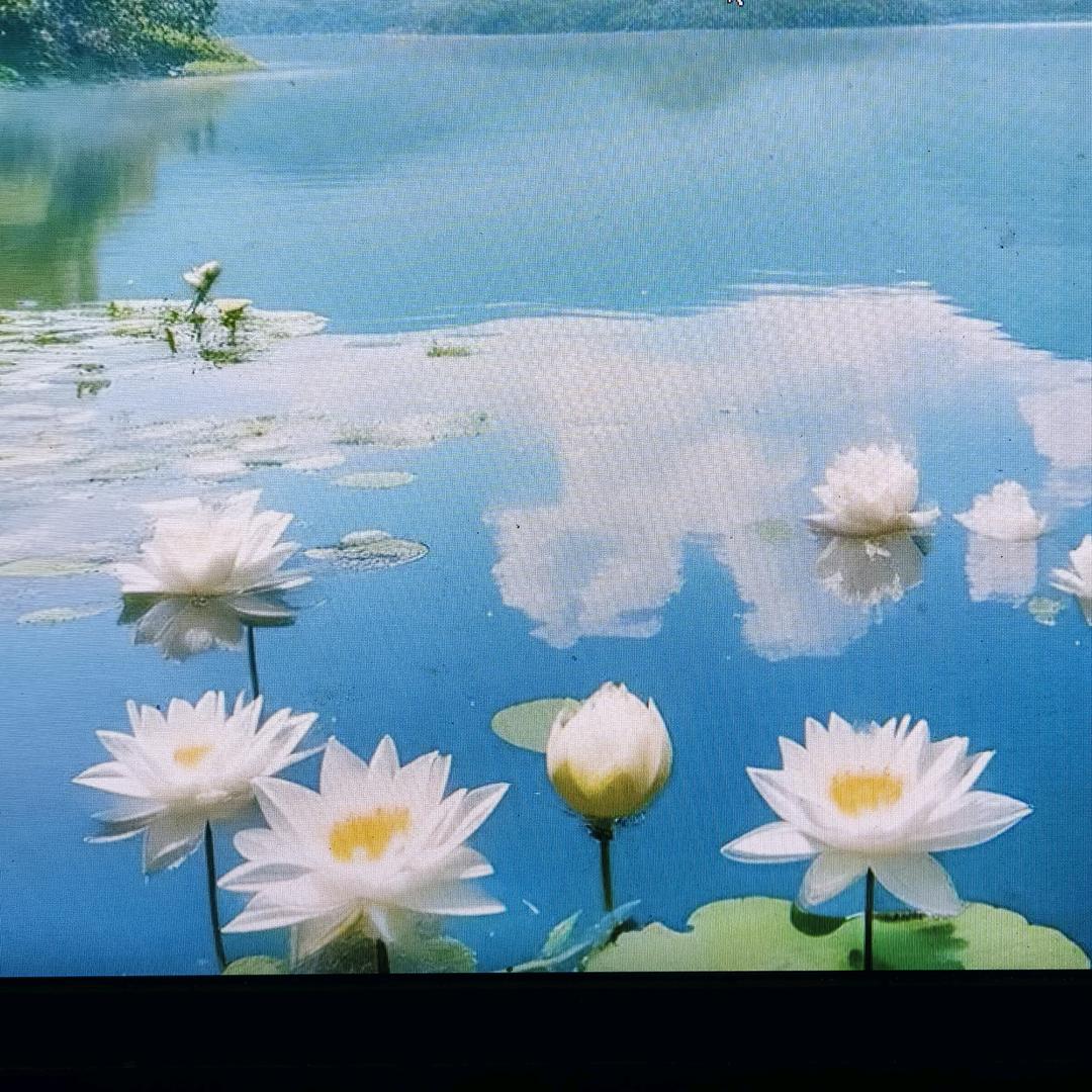 @陈工呢