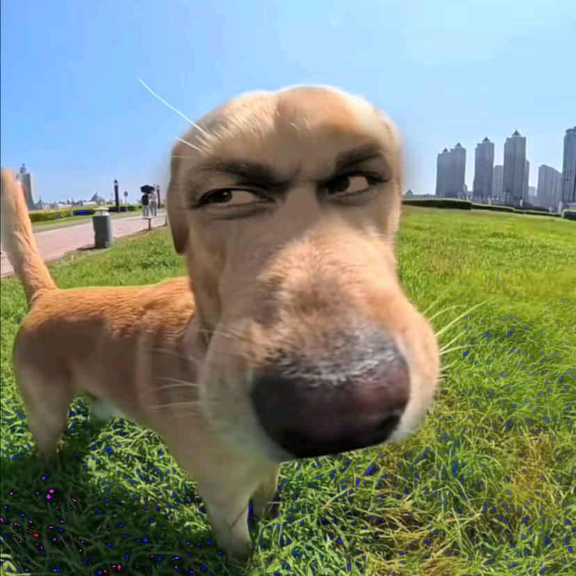 专宠刘吃吃