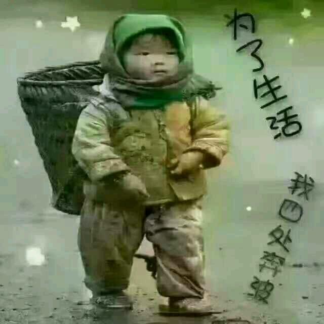室内外装房