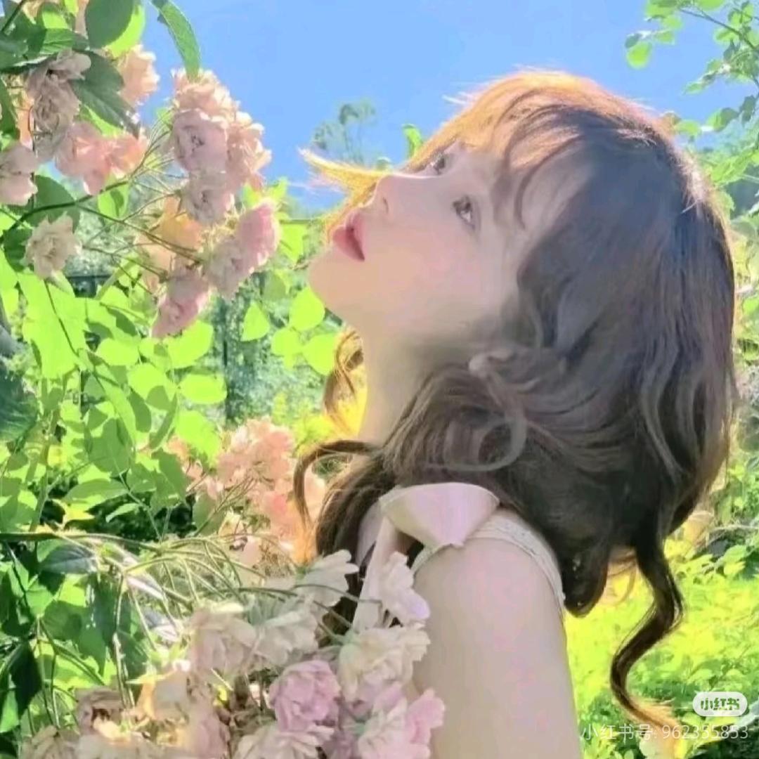 LC-处女座