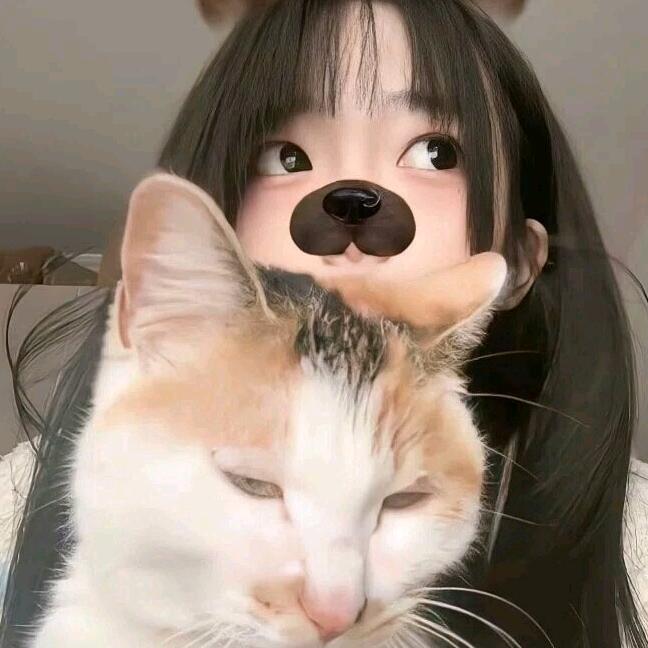 YT