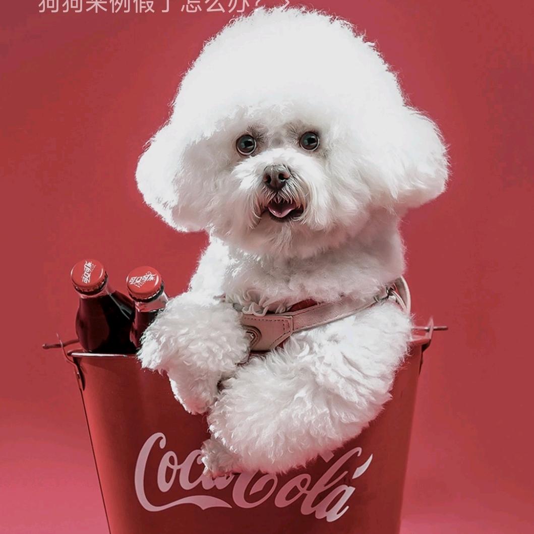 小幺妹