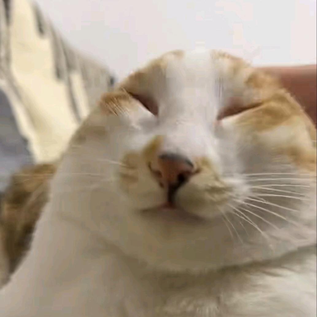 此城唯君咏