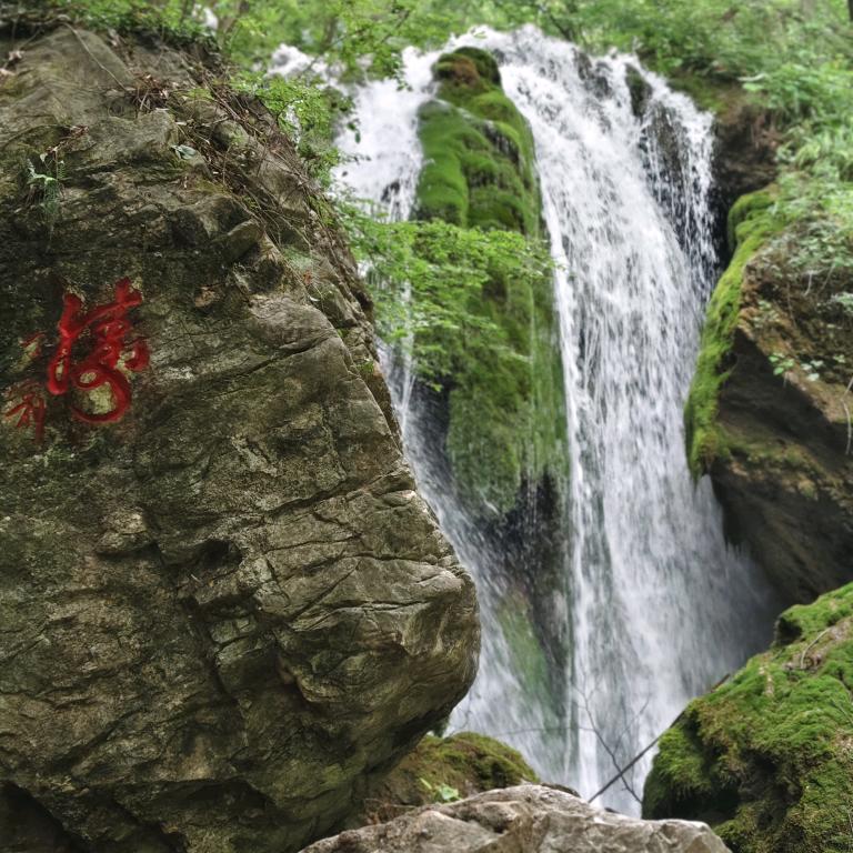 远山和叶