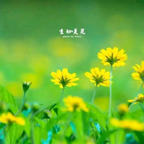 似水年华