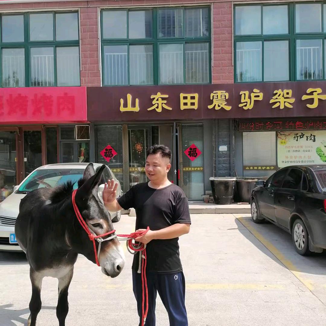 山东田震驴架子