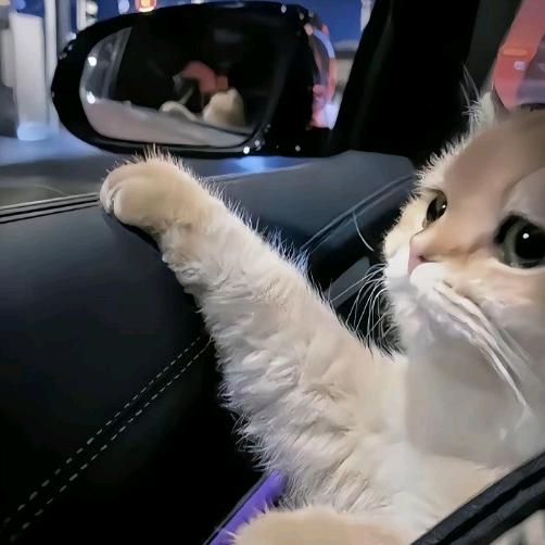 【雨璃阁】去到酒店被饿死