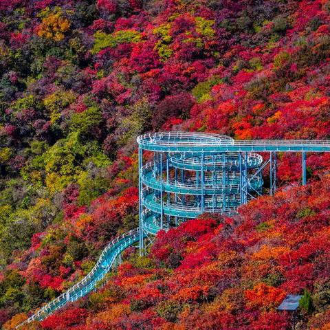 柿岩胜境