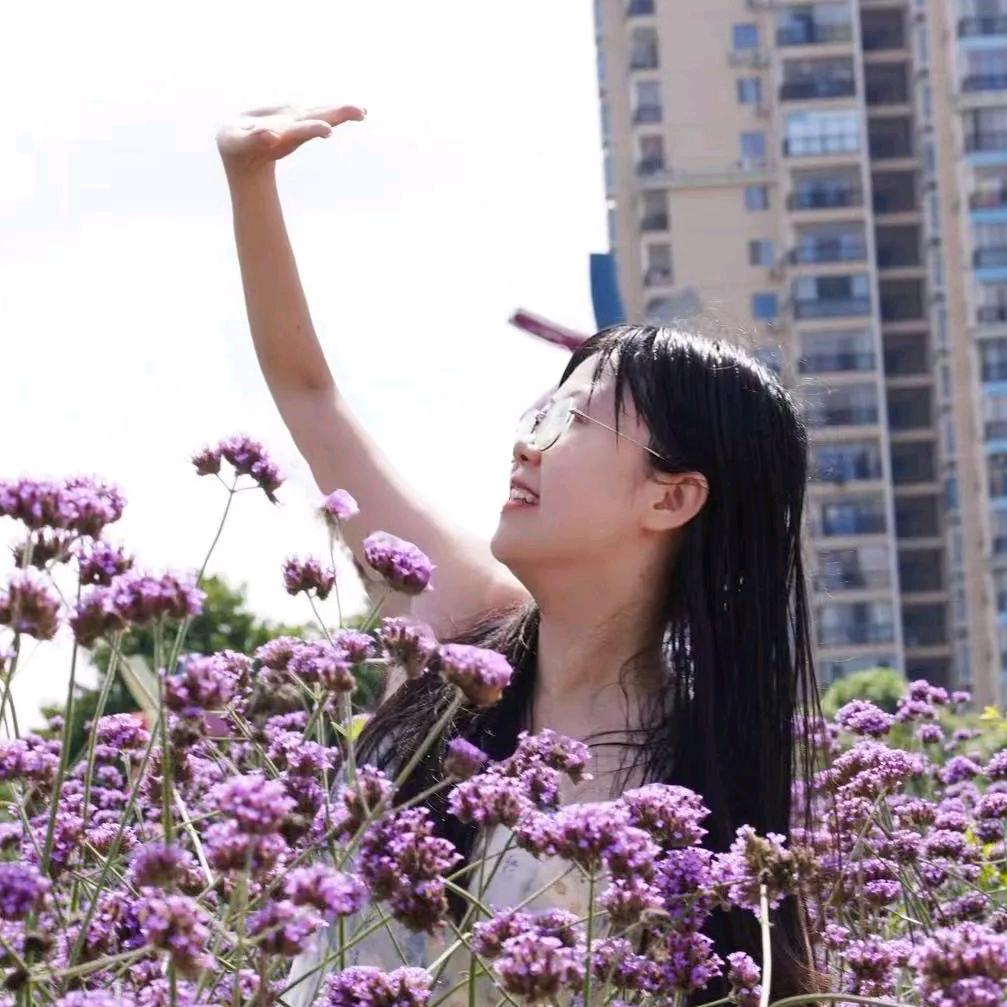 油菜花花