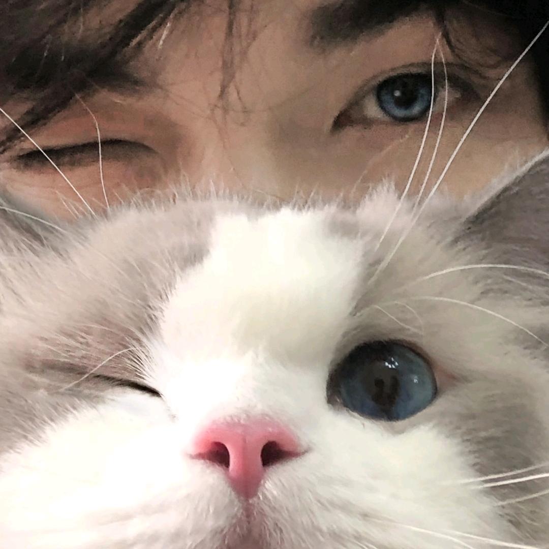 杨所雪