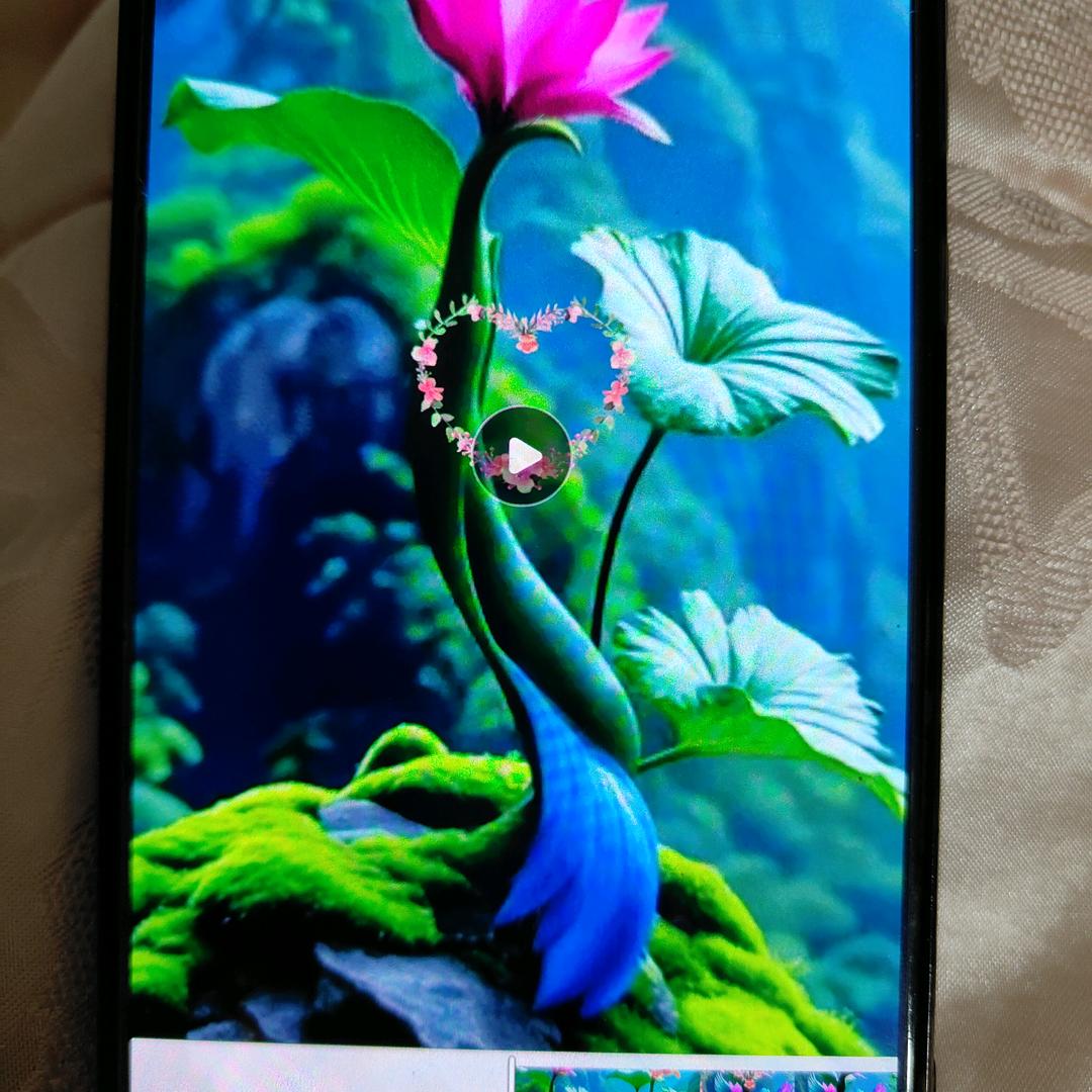 春暧🌸花开（21：50开播）