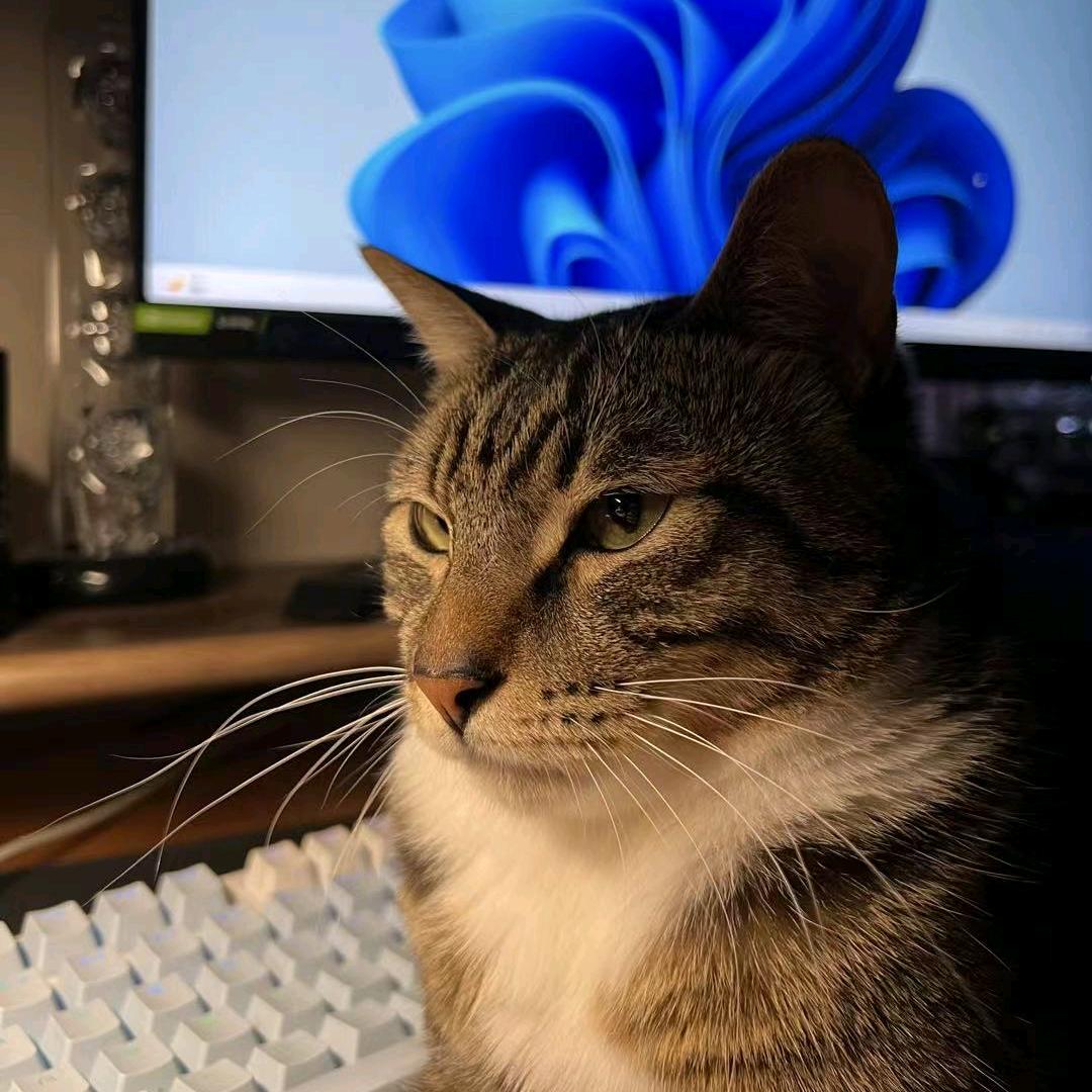 吃人的豪猪