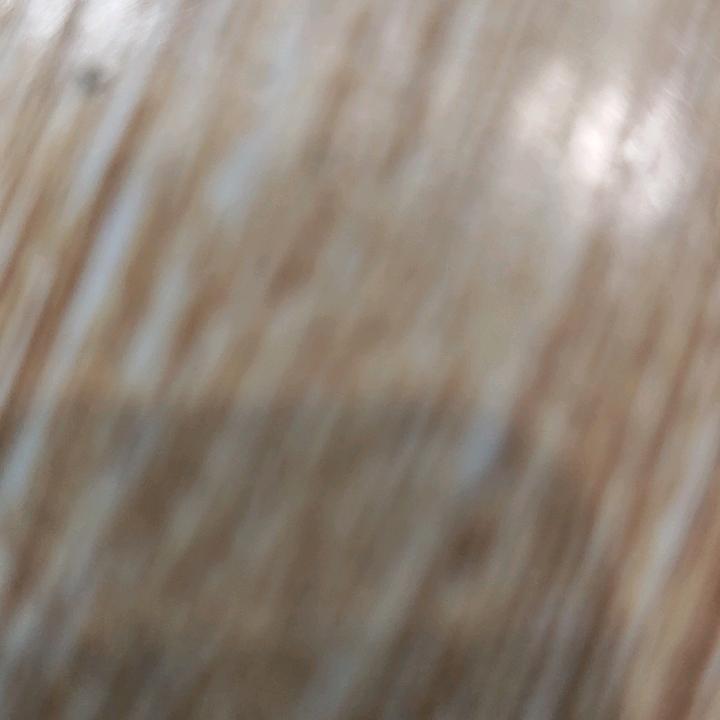 诗出有明