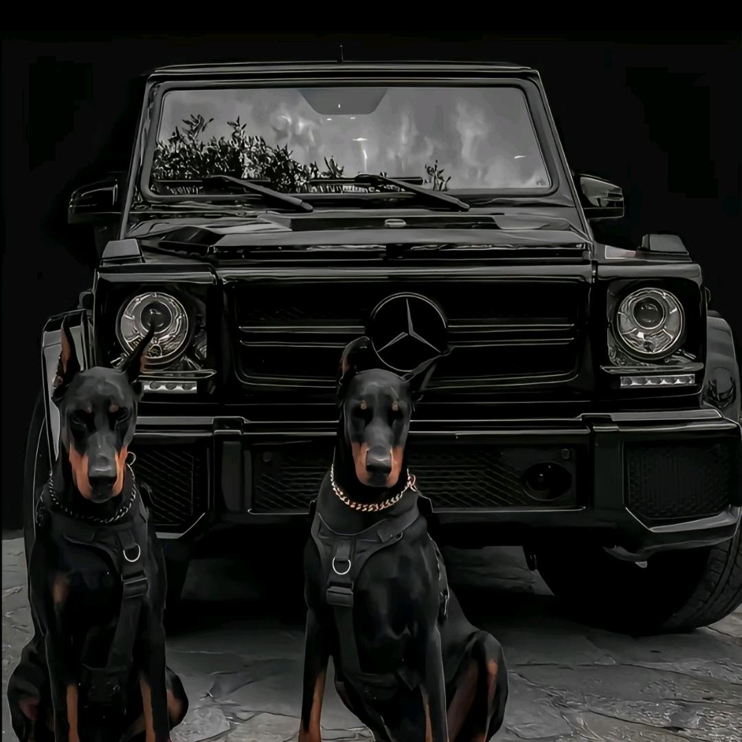 德宏肆肆壹捌商贸有限公司