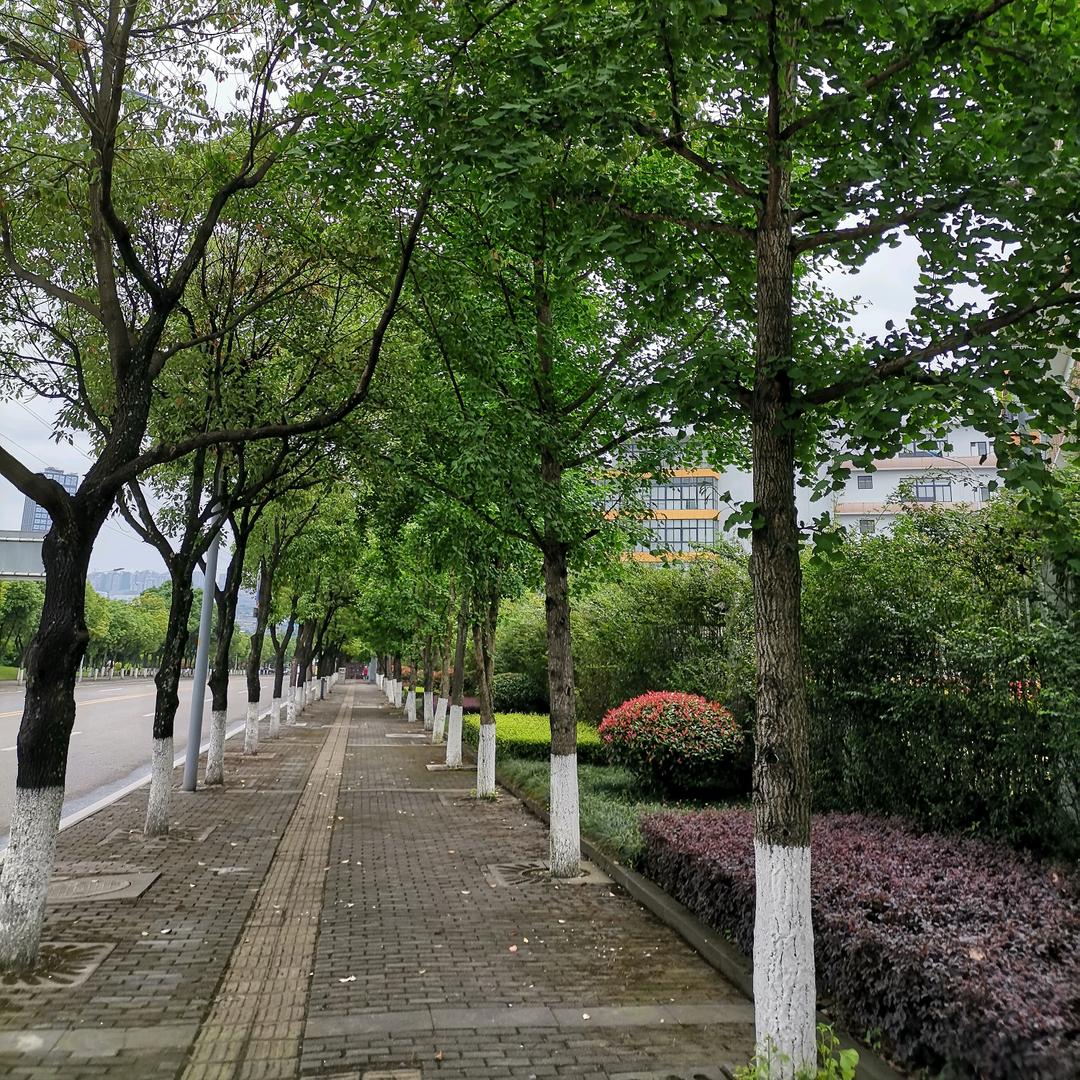 那年夏天那场雨