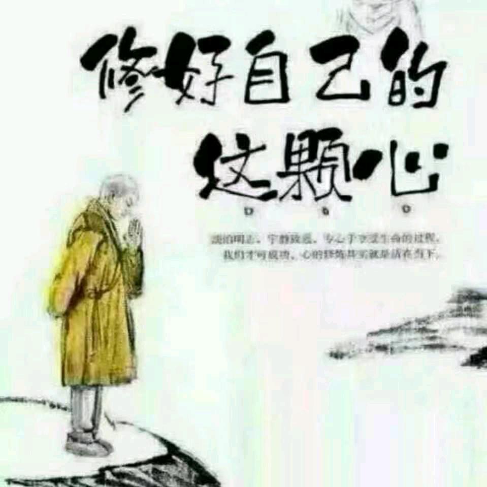 沈照杰