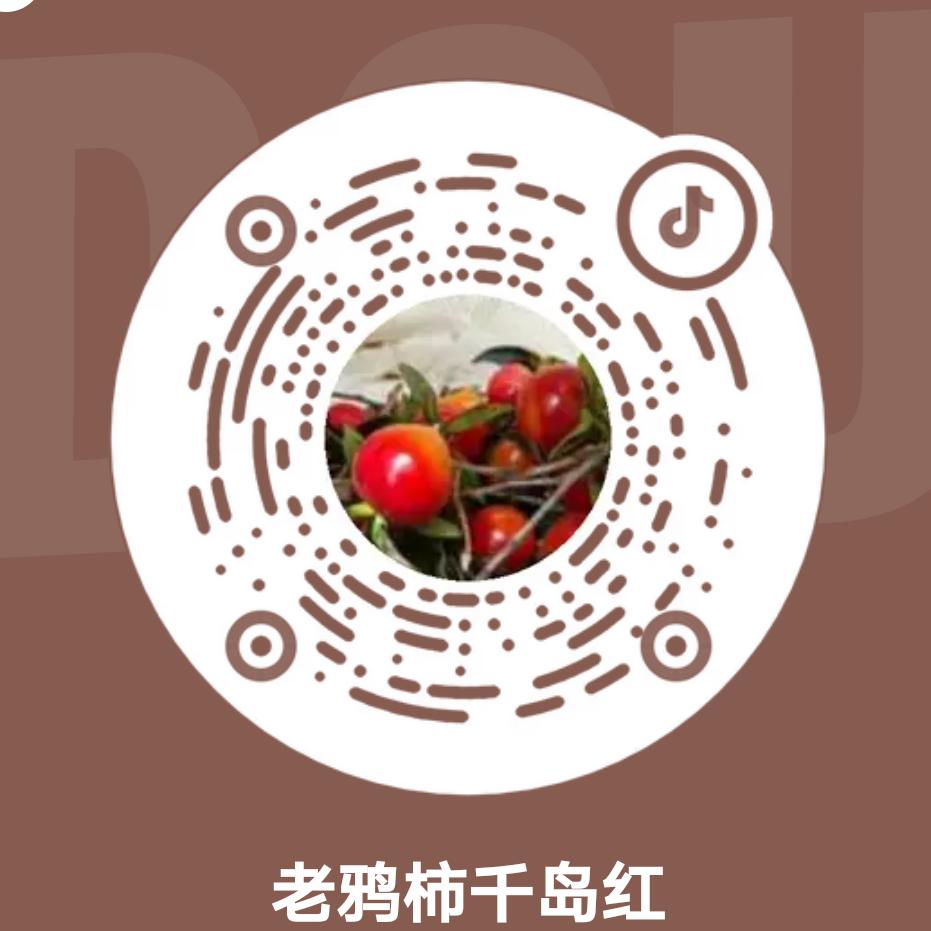 老鸦柿千岛红