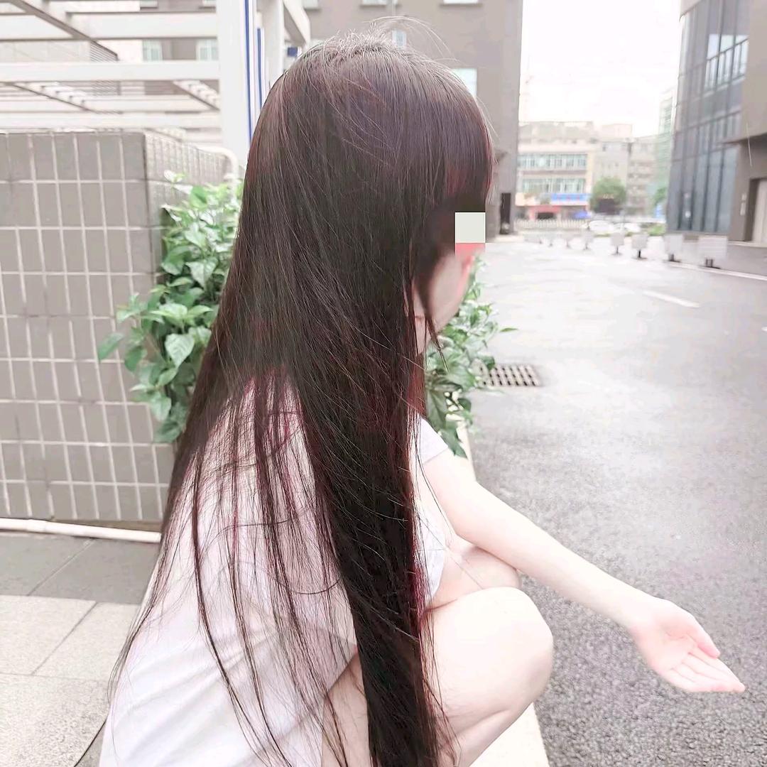 Tulip.白妤蒽💭