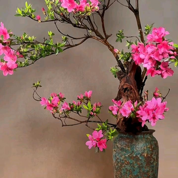 舂暖花开