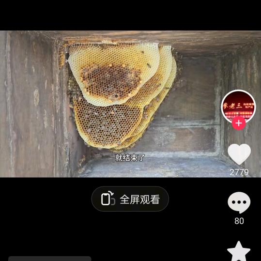 吴明成