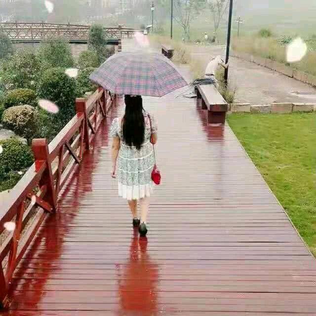 随风飘去