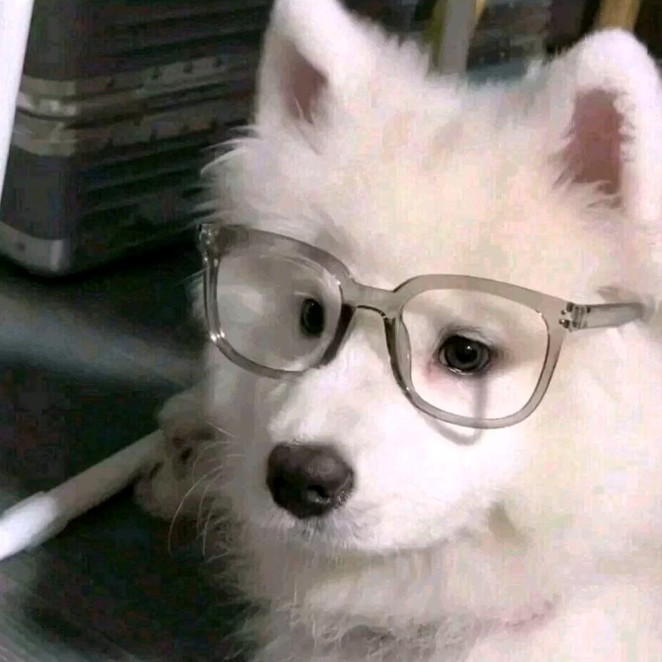 小晨崽仔