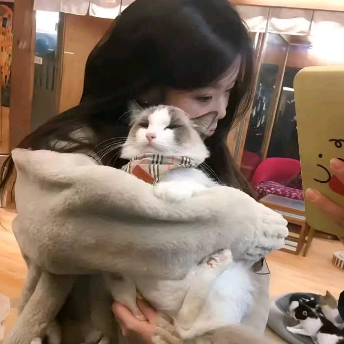 叁忆零