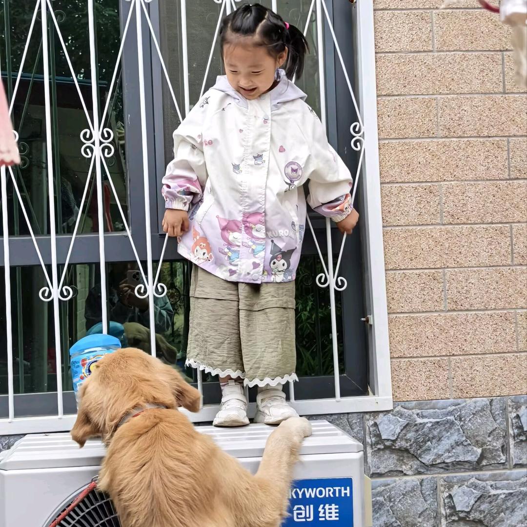 欣欣的日常生活