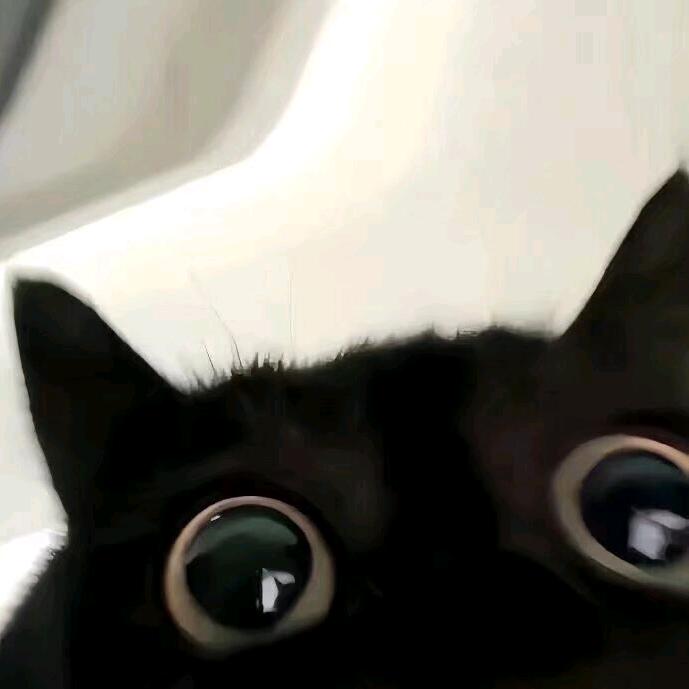 墨.