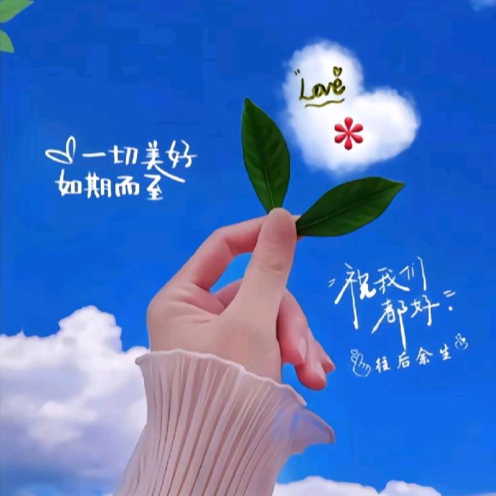 雨荨