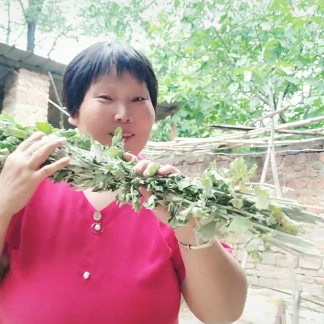 农村贞姐